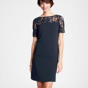 Ann Taylor Lace Short Sleeve Dress